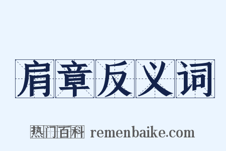肩章反义词是什么意思的图片
